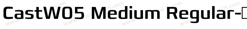 CastW05 Medium Regular字体转换